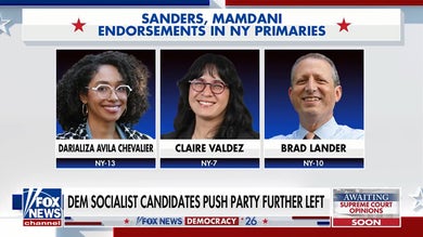 Democratic socialists push party further left