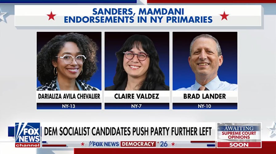 Democratic socialists push party further left