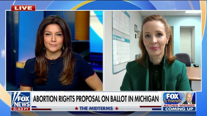 Michigan’s abortion rights proposal is a ‘trojan horse’ to ‘target’ children: Amber Roseboom