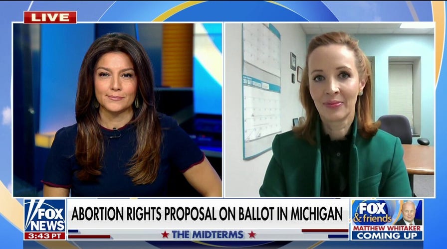 Michigan’s abortion rights proposal is a ‘trojan horse’ to ‘target’ children: Amber Roseboom