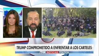 Sinaloa Sheinbaum? - Fox News