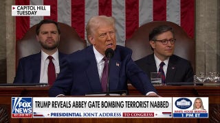  'Democrats are conscionable  incorrect  connected  these issues' - Fox News