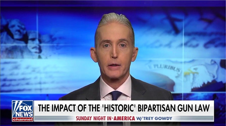 Gowdy: What is the impact of the 'historic' bipartisan gun law?