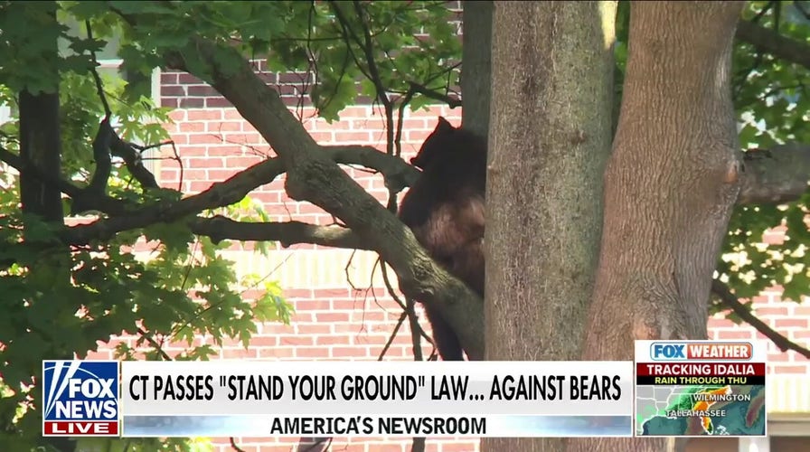 Connecticut passes 'Stand Your Ground' law... against bears