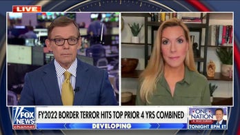 GOP lawmaker slams Biden on US border crisis: This is not seasonal