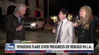 Over 96% of destroyed structures from Palisades fire remain untouched