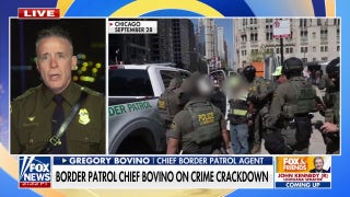 'Get with the program': Border Patrol chief unloads on Pritzker for ranting against troop deployments