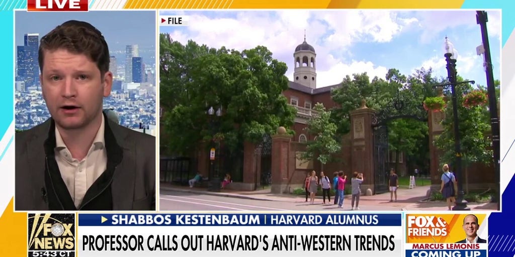 Harvard professor blasts university’s DEI policies, says diversity prioritized over merit