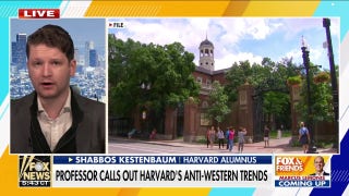 Harvard professor blasts university’s DEI policies, says diversity prioritized over merit