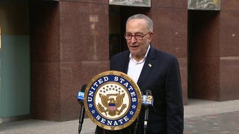 Schumer sings 'God Bless America' after Biden projected winner