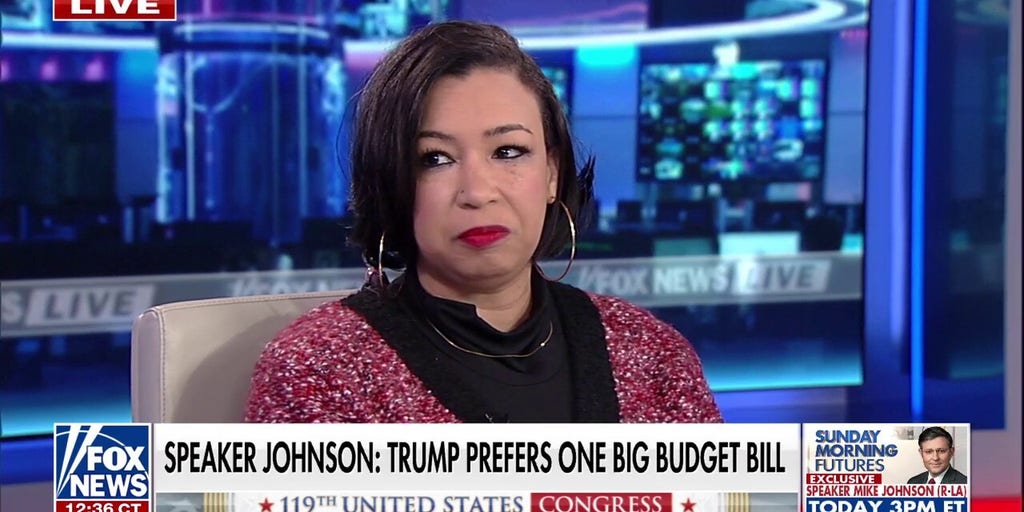 It's 'very easy' to slide things under the radar in one reconciliation bill, Democratic strategist says