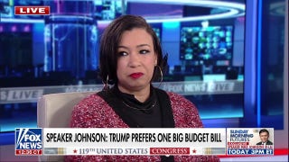 It's 'very easy' to slide things under the radar in one reconciliation bill, Democratic strategist says - Fox News