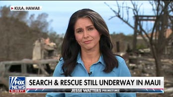 Tulsi Gabbard: Area of focus in Hawaii fires needs to be communication