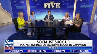 Dana Perino: These types of Democrats are going to dominate the headlines