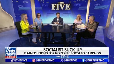 Dana Perino: These types of Democrats are going to dominate the headlines
