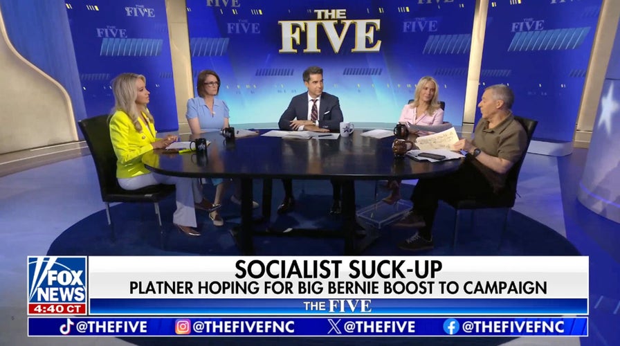 Dana Perino: These types of Democrats are going to dominate the headlines