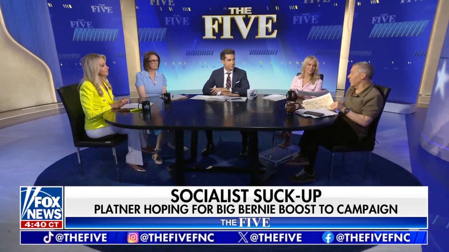 Dana Perino: These types of Democrats are going to dominate the headlines