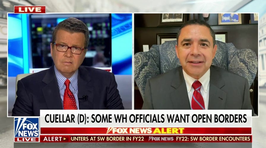 Democratic Rep. Henry Cuellar: Biden admin ‘needs to change’ its border policies