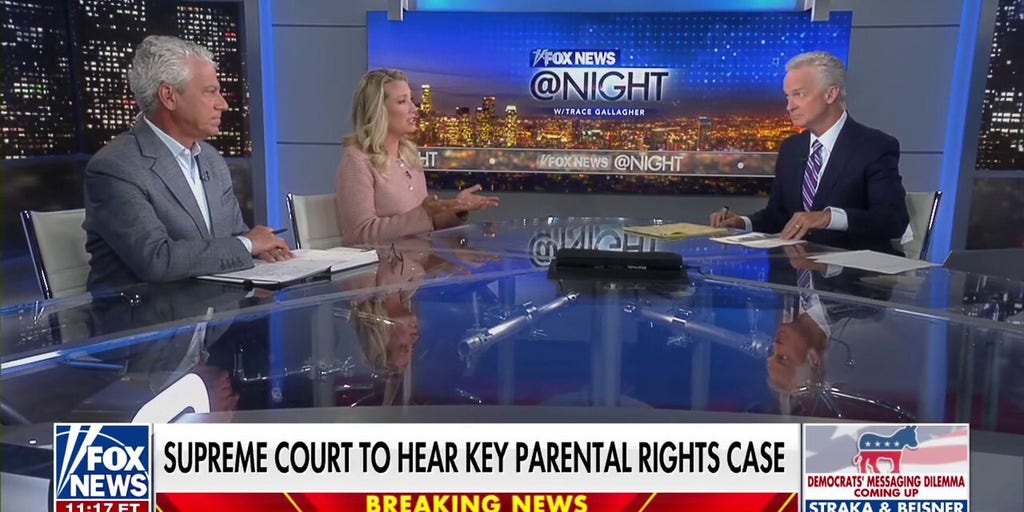 Democrats are looking for leadership in their party, says Mitch Roschelle