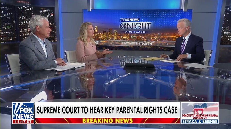 Democrats are looking for leadership in their party, says Mitch Roschelle