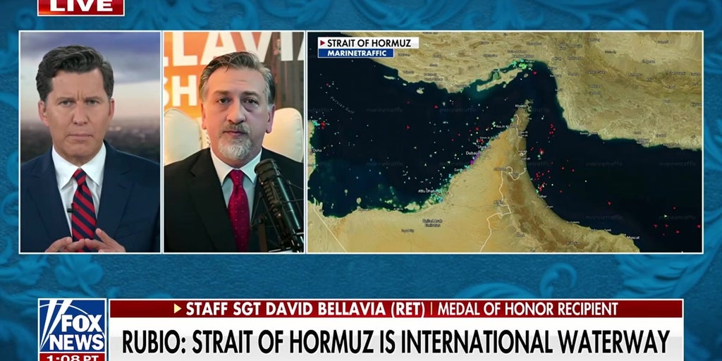 NATO, European allies have not shown ‘commitment’ to help secure Strait of Hormuz, Medal of Honor recipient says