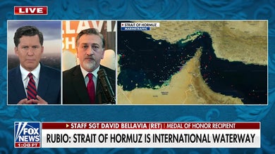 NATO, European allies have not shown ‘commitment’ to help secure Strait of Hormuz, Medal of Honor recipient says