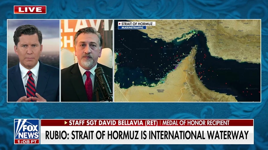 NATO, European allies have not shown ‘commitment’ to help secure Strait of Hormuz, Medal of Honor recipient says