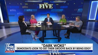 Until someone can run Democrats like a ‘captain,’ we’re going to see more trash: Watters