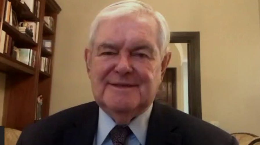 Sen. Johnson is frustrated by depth of 'hypocrisy, dishonesty' that is now routine in 'US power structure': Gingrich