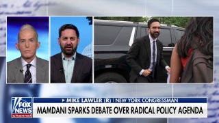 Zohran Mamdani will lead to the 'downfall' of New York if he's elected mayor, GOP congressman warns
