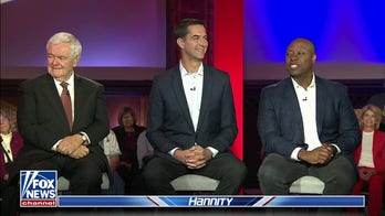 Democrats want to give you more of the wrong thing: Newt Gingrich