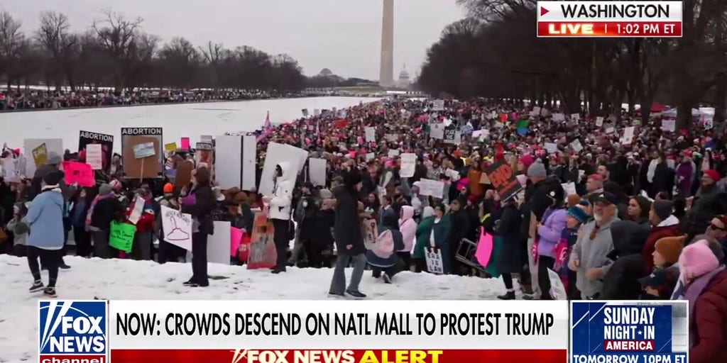 Crowds gather at the National Mall to protest Trump