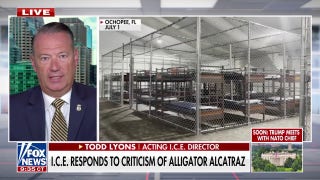 ICE fights back against Democratic criticism over ICE raids, 'Alligator Alcatraz'