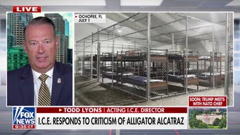 ICE fights back against Democratic criticism over ICE raids, 'Alligator Alcatraz'