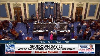 Democrats block GOP bill to pay essential federal workers in shutdown standoff