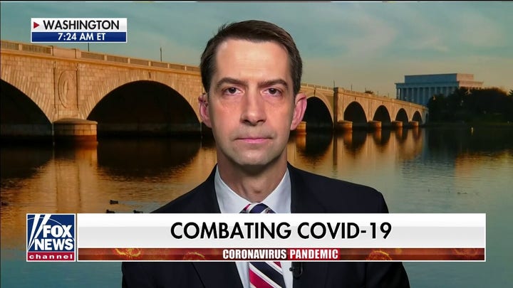 Sen. Cotton: 'China unleashed this plague on the world, there will be a reckoning'