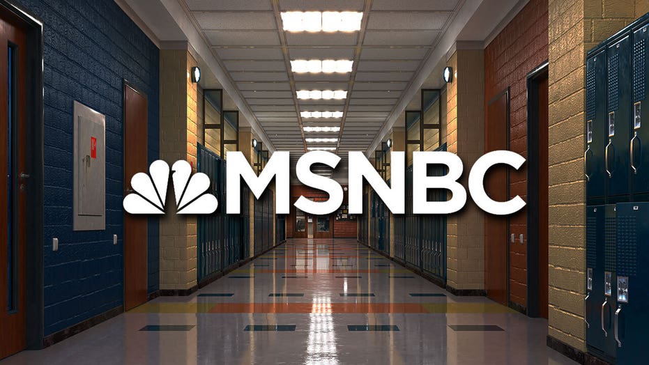 MSNBC panel pummels 'failure' of remote learning, asks why 'conventional wisdom' took so long to agree