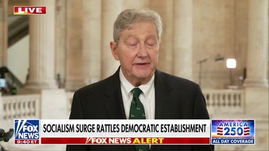 Senator Kennedy: 'Bolsheviks are in charge' of Democratic Party