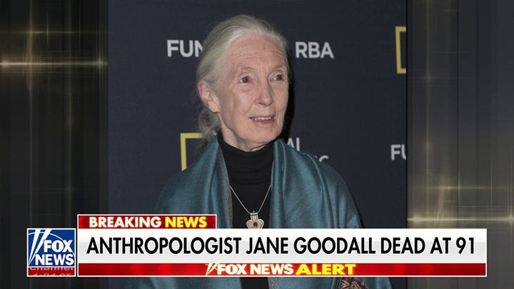 Anthropologist Jane Goodall dead at 91