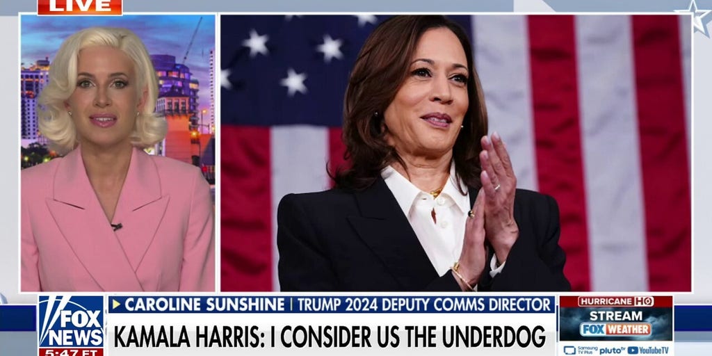 'Walls for me, but not for thee': Democrats called out for hypocrisy on security measures at DNC
