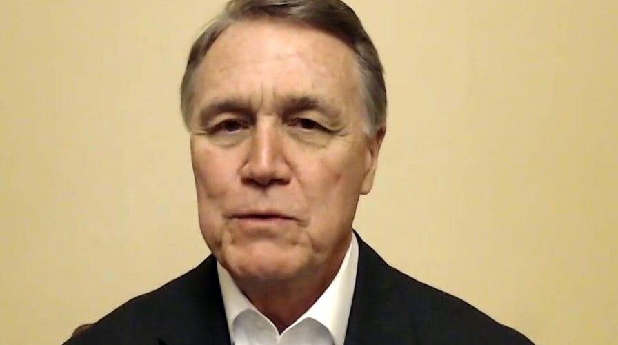 Sen. David Perdue says Georgia runoffs are 'last line of defense' against far left agenda