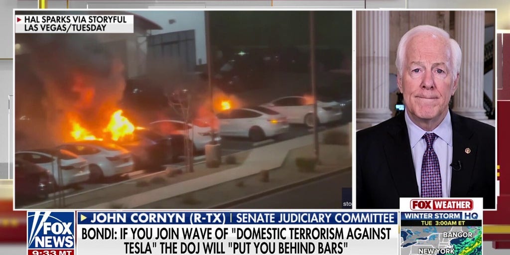 Sen. Cornyn calls out Dems for attacking Tesla amid climate policy push
