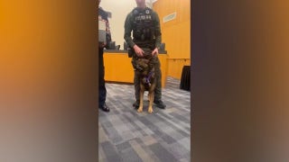 Texas K-9 given Purple Heart after being shot in paw, ear: 'Selfless' - Fox News
