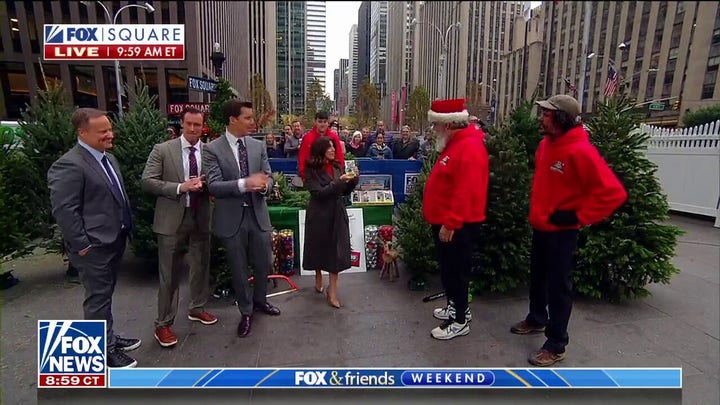 Tips for picking the perfect Christmas tree