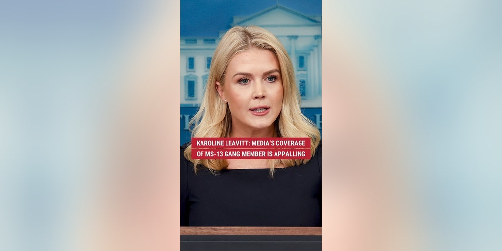 Karoline Leavitt: Media's coverage of MS-13 gang member is appalling