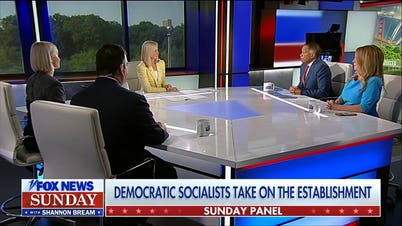 Sunday panel reacts to Democratic socialist agenda