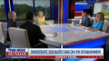 Sunday panel reacts to Democratic socialist agenda
