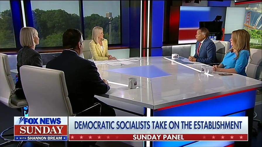 Sunday panel reacts to Democratic socialist agenda