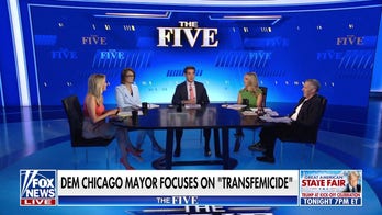 Kayleigh McEnany: Mayor Brandon Johnson has ‘driven Chicago into the ground’