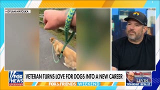 Air Force veteran opens dog training business after military career
